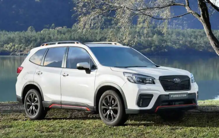 image for Review - Subaru Forester